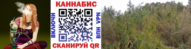 Что такое Малаховка COCAIN  АМФЕТАМИН  МЕТАДОН  Каннабис  Мефедрон  ГАШИШ 