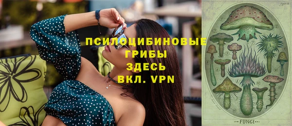 PSILOCYBIN Яровое