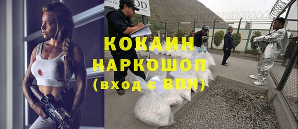 герыч Пересвет